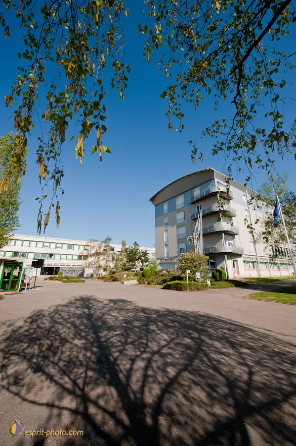 Nom de l'image : D30102044a_(c)Norbert-JUNG.com — Description :